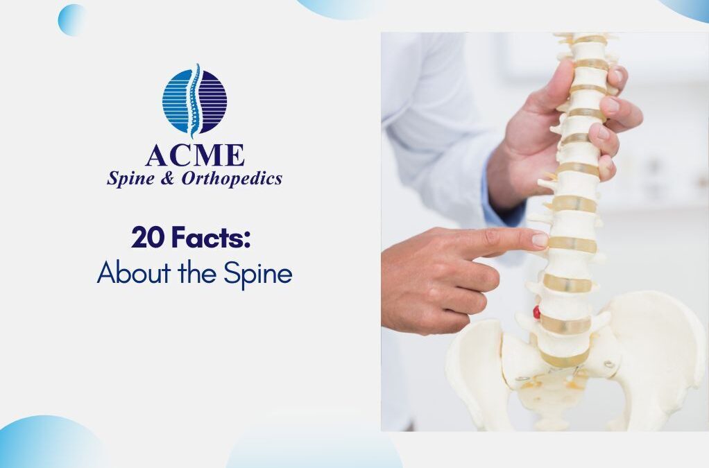 20 Facts About the Spine
