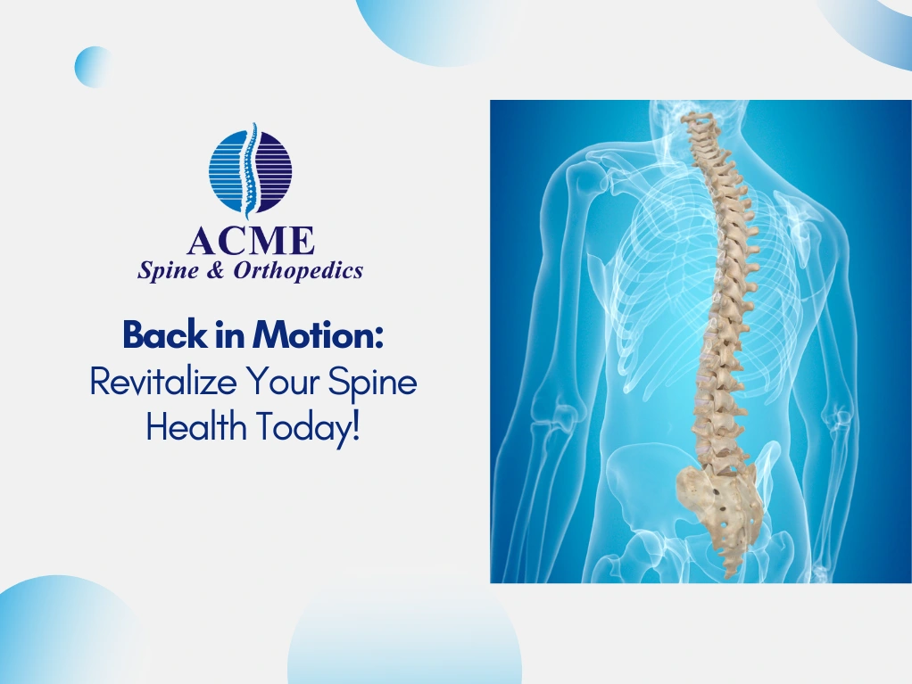 Back-in-Motion-Revitalize-Your-Spine-Health-Today