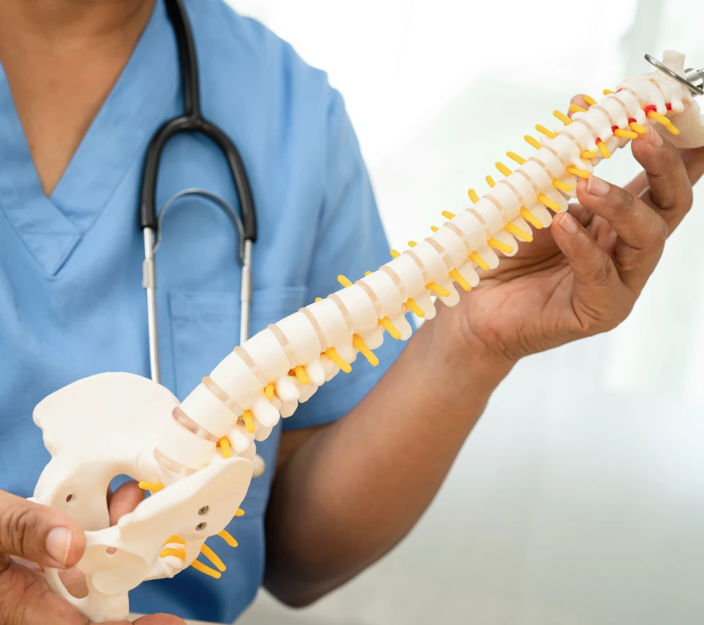 back-spine-surgeons